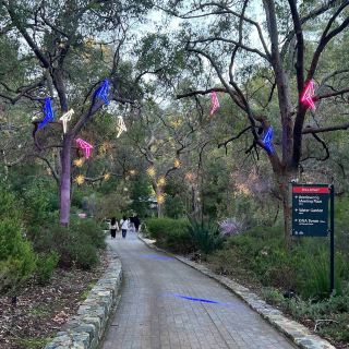Kings Park & Botanic Garden – Perth, WA