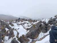 3月日本自由行 景点篇 鬼押出火山岩石公園