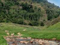 เขาช่องลม