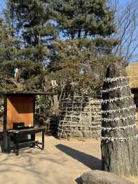 🏮 용인 한국민속촌 후기 📜 