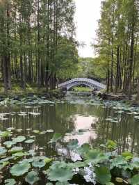 A Refreshing Green Escape – Daning Lingshi (Daning) Park, Shanghai
