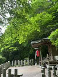 Visit temple in Fukuoka Japan