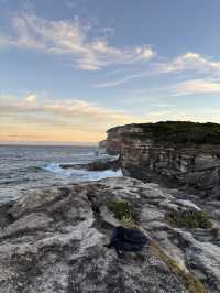 8 days in Sydney!