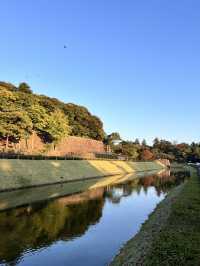 📍金澤兼六園｜北陸最美日式庭園 🍁秋意漸濃・古韻猶存・慢活漫遊