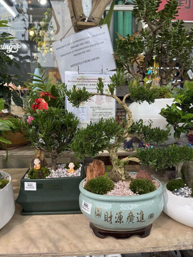 Summer Vibes & Plant Finds 