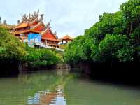 ล่องเรือชมป่าชายเลน Sicao Green Tunnel✨️