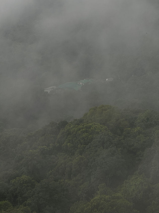 ขับรถเที่ยวดอยปุย จ.เชียงใหม่ ⛰️🌧️🌳🏍️