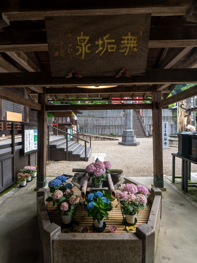 奈良の本気✨長谷寺あじさゐ回廊 今年は注意も！8枚目を見てね