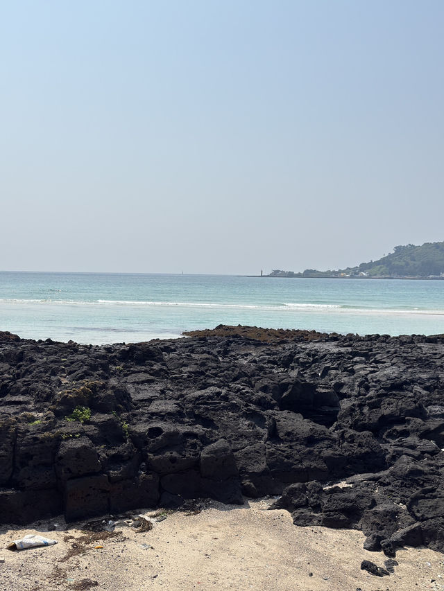 🌊 제주도 바다 여행기