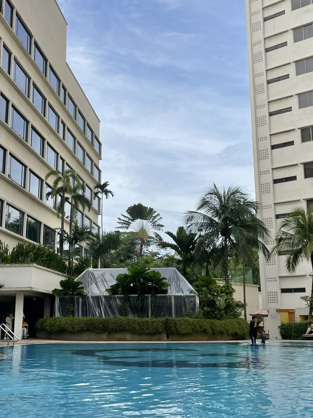 🌴 싱가포르 여행의 시작, 핵심 꿀팁 모음
