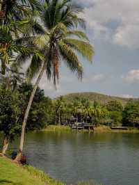 คาเฟ่ใกล้บ้าน