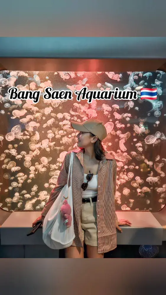 พิพิธภัณฑ์สัตว์น้ำบางแสน – พักผ่อนสุดสัปดาห์สุดสนุกจากกรุงเทพฯ! 🌊🐠