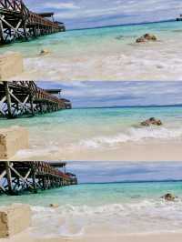 Guardians of Paradise: Diving with Turtles and a Post Office