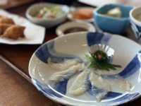 🐡 Fresh Fugu & Friendly Vibes at Ichiba Shokudo Maguro to Kame, Karato Market