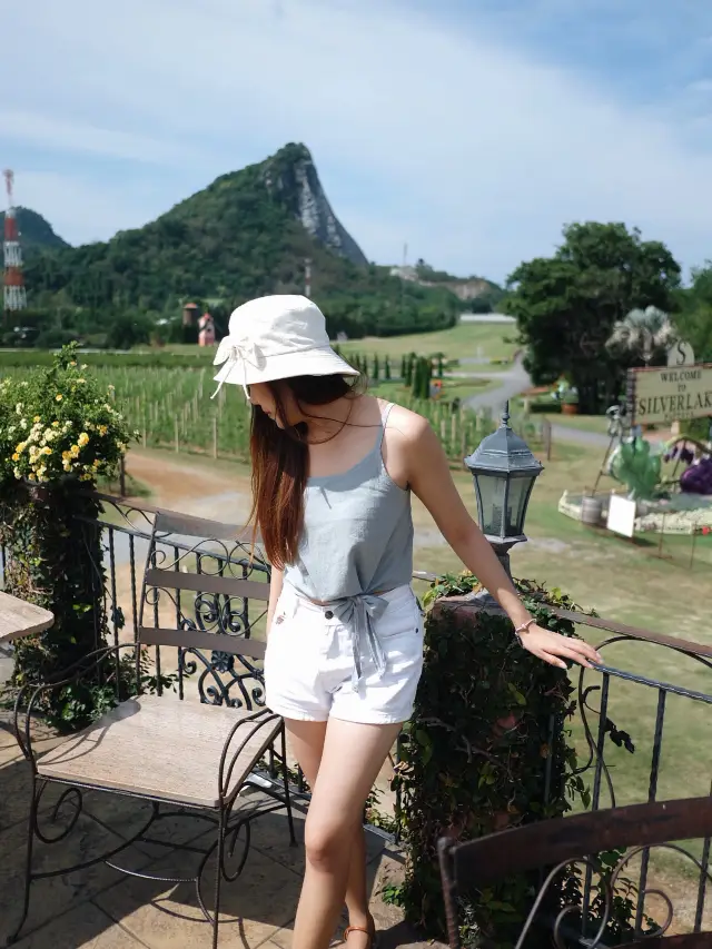 เที่ยวไร่องุ่นซิลเวอร์เลค