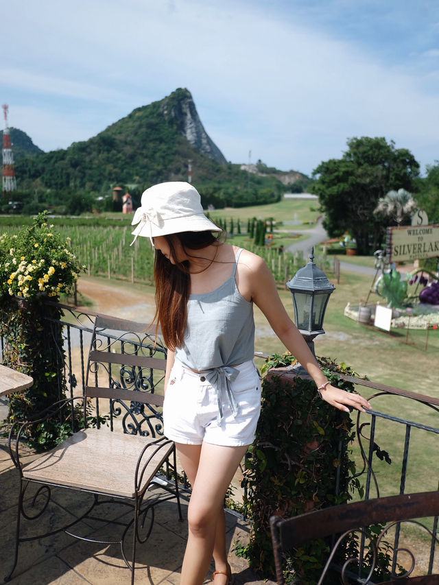 เที่ยวไร่องุ่นซิลเวอร์เลค