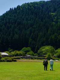 【足羽山公園で四季を感じる癒し旅】福井市街の緑のオアシス🌸🍁🌳