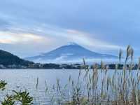 富士山。天空鳥居。楓葉