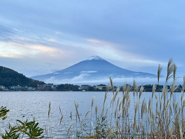富士山。天空鳥居。楓葉