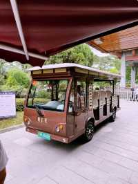 🌊 Dujiangyan Summer Survival Guide