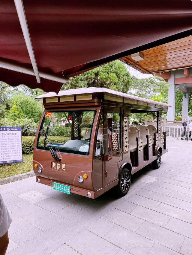 🌊 Dujiangyan Summer Survival Guide