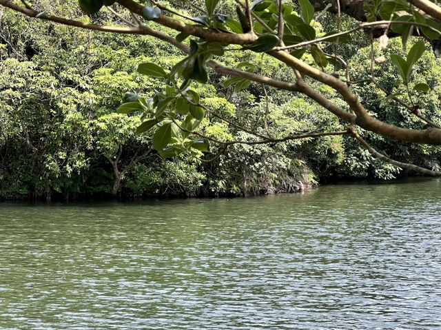 台灣基隆市情人湖公園