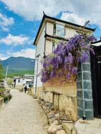"Blossoms and Beyond: Springtime in Yunnan China” 🌸🌼🌺