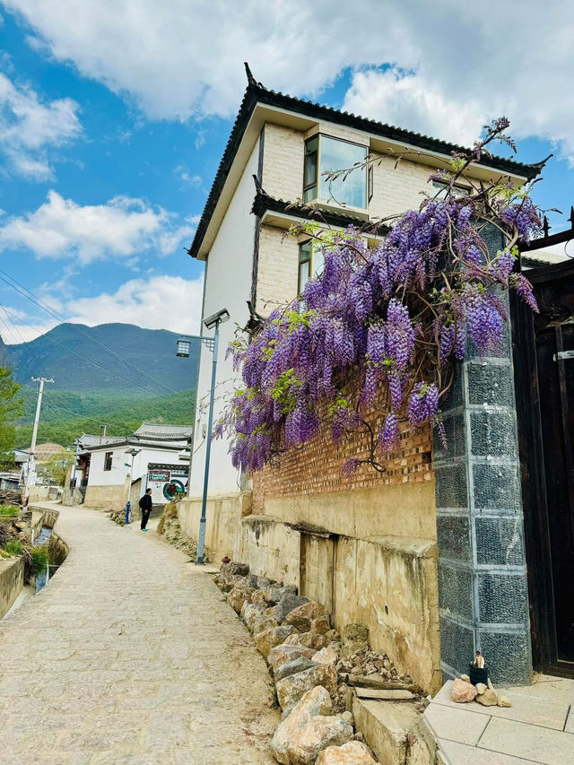 "Blossoms and Beyond: Springtime in Yunnan China” 🌸🌼🌺