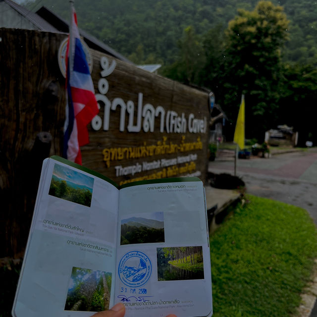ถ้ำปลา แม่ฮ่องสอน 