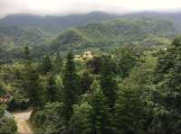 🌲隱藏在南投山谷間的一座阿蘭若