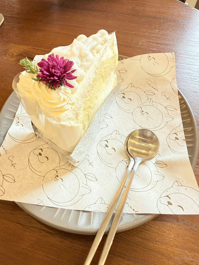 光と緑に包まれた、静かなカフェ時間。🌿☕ #カフェ巡り #自然と過ごす