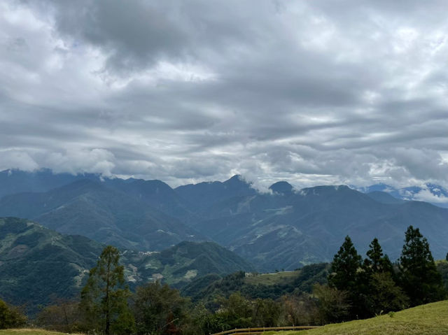 南投清境農場：山嵐間的悠閒牧歌