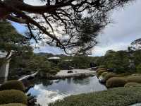 足立美術館（日本第一庭院）