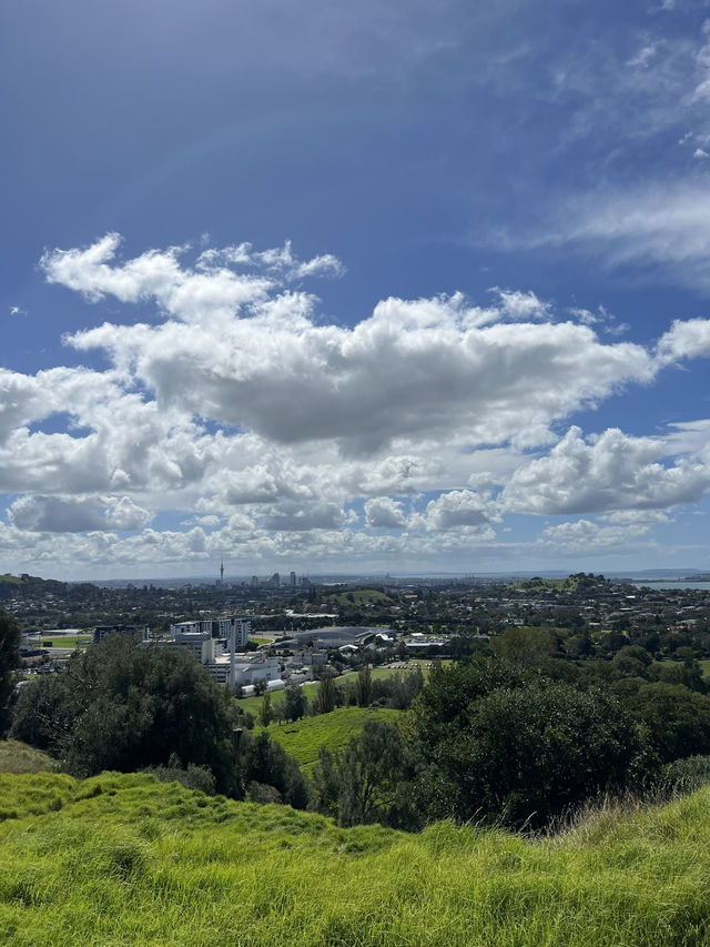 Cornwall Park｜城市裡的綠野仙蹤 