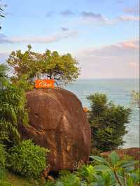 "MESMERIZED" by the THE CLIFF