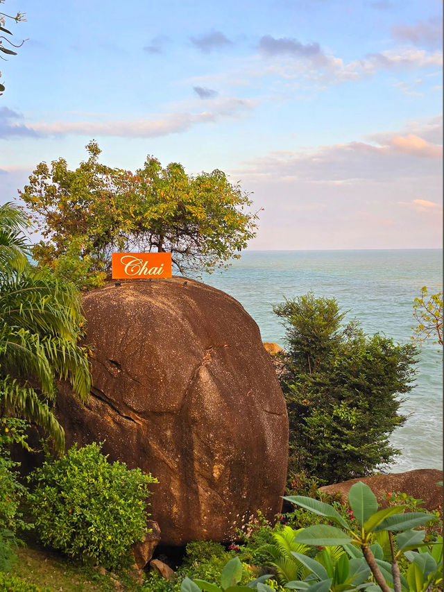 "MESMERIZED" by the THE CLIFF