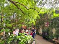 I refused to leave after visiting such a beautiful ancient town, Wuzhen