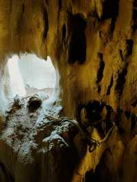 Singapore’s New Jungle Adventure: Caves, Climbs & Wild Thrills Await! 🧗🌿🇸🇬