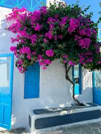 Scenic Views at Son Tra Marina