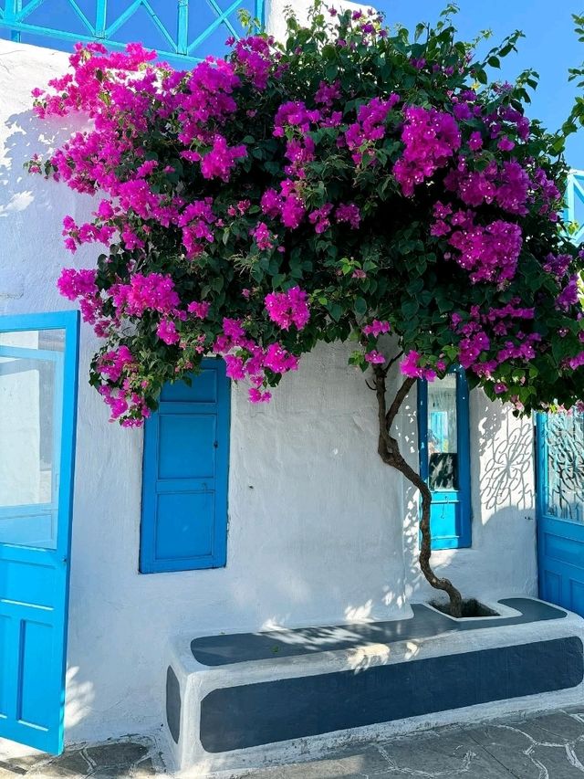 Scenic Views at Son Tra Marina