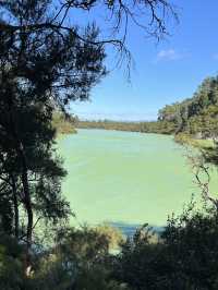 🥑紐西蘭「牛油果硫磺泉」爆美打卡｜Wai‑o‑Tapu Devil’s Bath 全攻略 