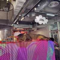 逛商場不如逛古城！深圳南頭古城小店散策