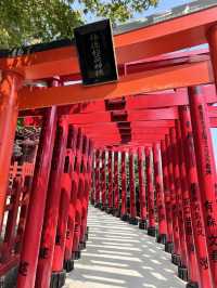 🦊【打開神域山林｜佐賀祐德稻荷神社】千本鳥居下的心願與祝福🌿⛩️