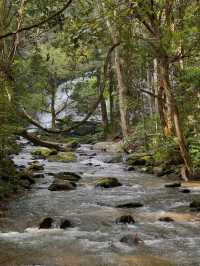 Chasing Waterfalls in Doi Inthanon