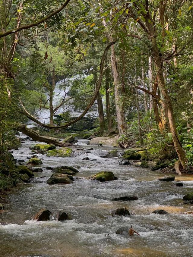 Chasing Waterfalls in Doi Inthanon