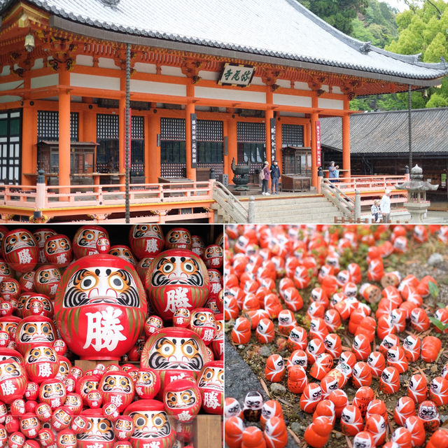 โอซาก้าในเดือนพฤษภาคม 🎌🏯
