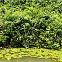 Thung Nham Bird Park (Ninh Binh)