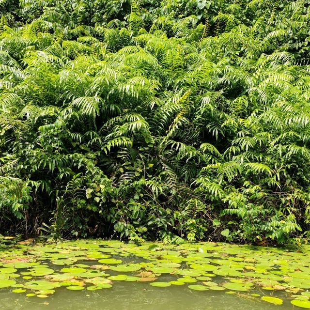 Thung Nham Bird Park (Ninh Binh)