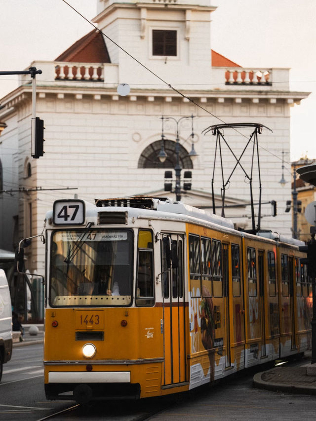 🇭🇺✨ Budapest, Hungary