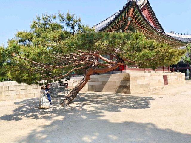 A Royal Walk Through Gyeongbokgung Palace